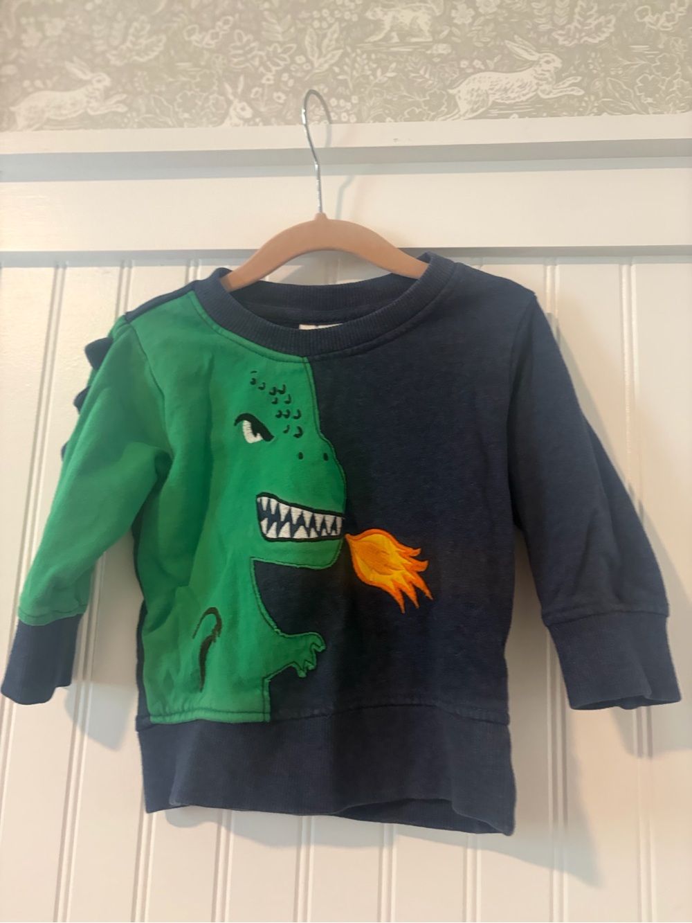 Hanna Andersson Kids Dragon Crewneck Sweatshirt - Navy & Green